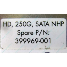 HP 250G 7.2k 432337-001/ 399699-001 / 397377-004 SATA HDD (Ногинск)