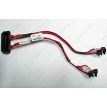 SATA-кабель для корзины HDD HP 451782-001 459190-001 для HP ML310 G5 (Ногинск)
