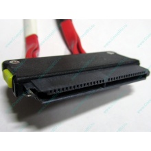 SATA-кабель для корзины HDD HP 451782-001 459190-001 для HP ML310 G5 (Ногинск)