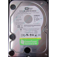 Б/У жёсткий диск 500Gb Western Digital WD5000AVVS (WD AV-GP 500 GB) 5400 rpm SATA (Ногинск)