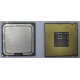 Процессор Intel Celeron D 336 (2.8GHz /256kb /533MHz) SL98W s.775 (Ногинск)