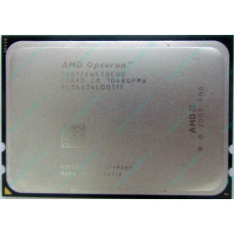AMD Opteron 6128 OS6128WKT8EGO (Ногинск)