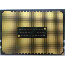 AMD Opteron 6128 OS6128WKT8EGO (Ногинск)