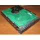 Жесткий диск 300Gb 15k Seagate Cheetach ST3300656SS 15K.6 Dell 9CH066-050 6G SAS (Ногинск)